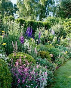 a garden filled with lots of different types of flowers