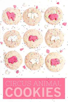 the cover of circus animal cookies with sprinkles and pink frosting on it