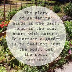 a garden filled with lots of different types of flowers and plants in the center is a quote that reads, the glory of gardening hands in the dirt, head in the