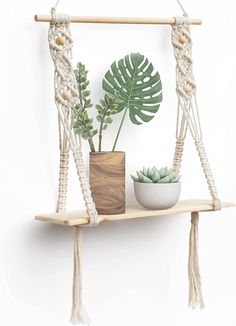 a potted plant sitting on top of a wooden shelf next to a white wall