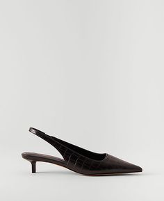 Step into elegance with the Ann Taylor Embossed Leather Kitten Heel Slingback Pumps, a perfect blend of style and comfort. These chic pumps feature:

- Size: 5 1/2
- Color: Black
- Material: Embossed Leather
- Gender: Female
- Heel Height: 1 1/2 inches
- Pointy toe design
- Padded footbed for enhanced comfort

Designed for the modern woman, these slingback pumps from Ann Taylor are not only fashionable with their textured leather finish and sleek pointy toe but also comfortable enough for all-da Low High Heels, Leather Finish, Extra Mile, Comfort Design, Footwear Collection, Heels Pumps, Dream Shoes, Slingback Pump, Toe Designs