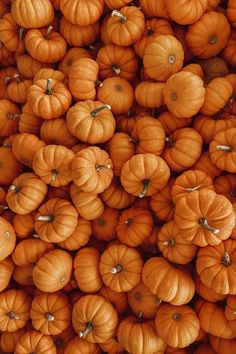 many small pumpkins are stacked up together