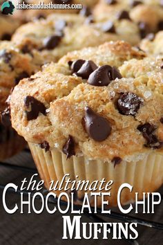 the ultimate chocolate chip muffins are cooling on a rack with text overlay that reads, the ultimate chocolate chip muffins