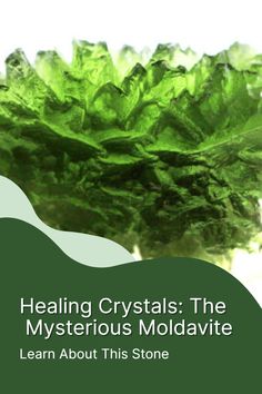 a green leafy plant with the words, healing crystals the mysterious moldavite learn about this stone