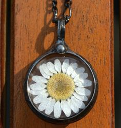 Bayou Glass Arts Daisy Pendant April Birth Month Flower Dry Pressed Flower Pendant: 1 3/4" x 1" (44mm x 25 mm) Truly Hand Made in USA by Louisiana Artisan FREE 1st Class Domestic Shipping This listing qualifies for next business day shipping Expedited shipping available Choose 24", 28" or 36" fully adjustable Figaro Chain. Gift wrapping and messaging offered Your choice of Shiny Black Finish (shown) or Shiny Silver Finish Style #2559 Real Pressed Flower Jewelry Sweet, simple, natural. Who doesn' Pressed Daisies, Wildflower Jewelry, April Birth Month Flower, Dry Pressed Flowers, April Birth Month, Kaleidoscope Jewelry, Mustard Seed Necklace, Flower Necklaces, Bubble Earrings