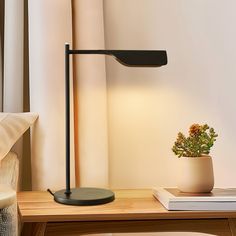 a table lamp sitting on top of a wooden desk next to a potted plant