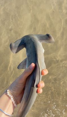 a person holding an animal in their hand near the water's edge, with its tail sticking out