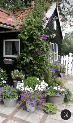 several potted plants in front of a small house