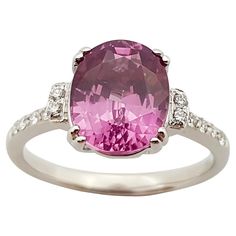 Spinel 3.85 carats with Diamond 0.08 carat Ring set in 18 Karat White Gold Settings Width: 1.2 cm Length: 1.0 cm Ring Size: 56 Total Weight: 5.03 grams "We first opened doors in 1980 when it was then situated in the vicinity of the Victory Monument; a small and modest storefront with a couple of counters. From its humble beginnings to where it stands today, our company has proven its abilities as a jeweler. Since the beginning, we have been supplying fine quality pieces to dealers, wholesalers a Stunning Aesthetic, Diamond Ring Set, Carved Ring, Contemporary Ring, Diamond Ring Settings, Pretty Rings, Diamond Solitaire Rings, Diamond Solitaire, Halo Diamond