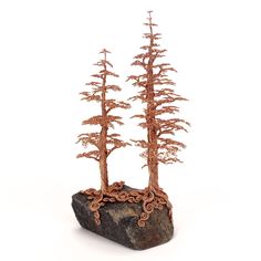 a small tree sitting on top of a rock