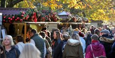 a crowd of people walking down a street next to trees with christmas decorations on them