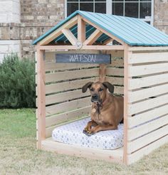 a brown dog laying on top of a bed in a wooden structure with a blue roof