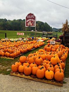 many pumpkins are stacked on wooden pallets in front of a farm store sign