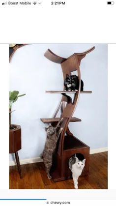 two cats playing with each other in a cat tree that is on top of a table