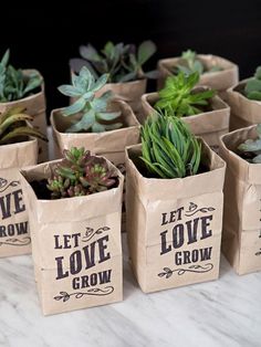 small bags filled with succulents sitting on top of a marble countertop