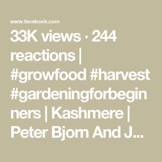 the text reads, 28k views 24 reactions growfood harvest garden for beginners peter bjom and j