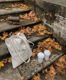 a bag and two cups sitting on the steps in front of some stairs with fallen leaves