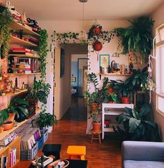 a living room filled with lots of plants and bookshelves next to a window