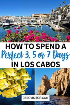 how to spend a perfect 3, 5 or 7 days in los cabos?