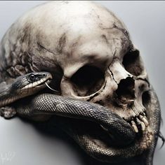 a skull with a snake wrapped around it