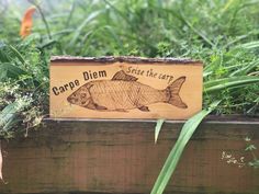 a wooden sign that says carppe diem rise the cant on it in front of some plants