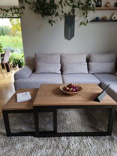 a living room with a couch, coffee table and potted plant