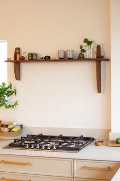 a stove top oven sitting in a kitchen next to a wall mounted potted plant