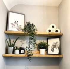 two wooden shelves with plants and pictures on them in the corner of a bathroom area