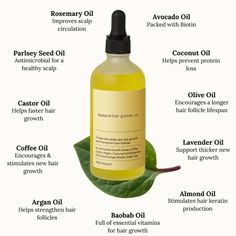 Natural Hair Growth Oil, Target Hair Products, Dunner Wordend Haar, New Hair Growth, Vegan Hair, Fast Hairstyles, Makijaż Smokey Eye, Hair Growth Faster, Hair Thickening