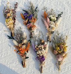 six dried flowers laid out on a white surface with leaves and stems in the middle