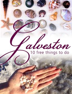 a person's hand with shells on it and the title charleston 10 free things to do