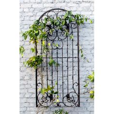 a white brick wall with an iron gate and potted plants