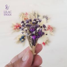 a hand holding a dried flower in it's left side with other flowers behind it