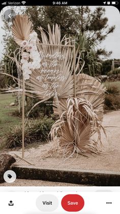 an image of a palm tree in the middle of a park with words written on it