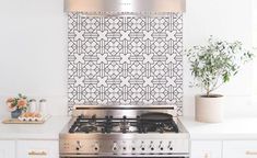 a stove top oven sitting inside of a kitchen next to a potted plant in a vase