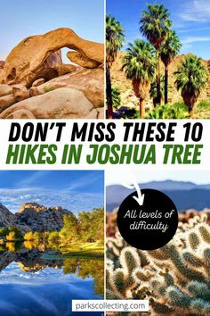 the desert with palm trees and mountains in the background text reads don't miss these 10 hikes in joshua tree