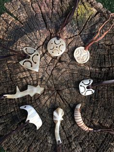 several different types of animal heads are arranged on a tree stump in a circle together