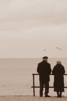 two people sitting on a bench looking out at the water and birds flying in the sky