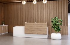 an empty reception area with a plant in the center and wooden paneling on the walls