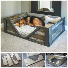 a dog laying on top of a wooden crate in front of a mirror and pillows