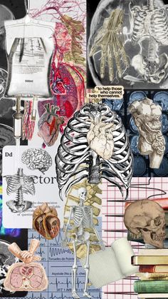 a collage of different medical images including the human body, lungs, and heart