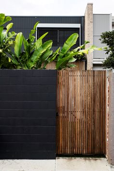 a black fence with green plants in front of it