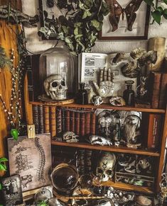 there is a book shelf with skulls and other items on it