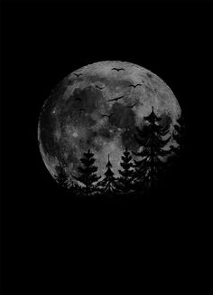 a full moon with trees in the foreground