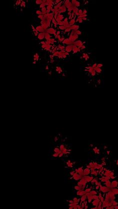 red flowers on a black background with space for text or image to be added in the bottom right corner