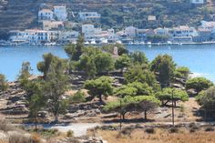 an island with lots of trees and buildings in the background