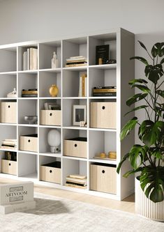 a white bookcase filled with lots of books next to a potted plant