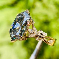 a close up view of a fancy ring with diamonds on it's sides and leaves in the background