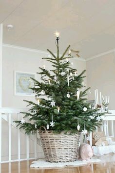 a small christmas tree in a wicker basket on top of a hard wood floor