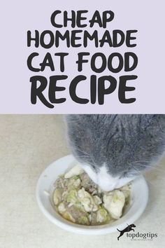 a cat eating food out of a bowl with the words cheap homemade cat food recipe